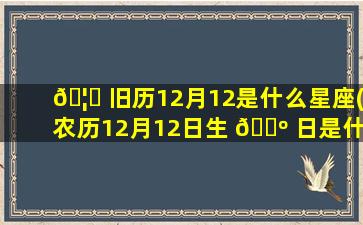 🦊 旧历12月12是什么星座(农历12月12日生 🐺 日是什么星座)
